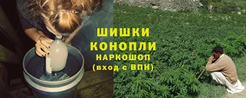 купить закладку  Котлас  МАРИХУАНА план 